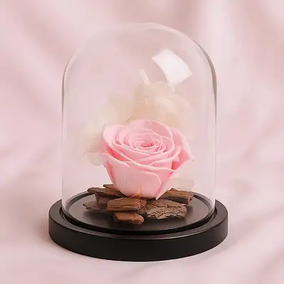 Graceful Pink Forever Rose - Flowers