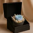 Elegant Soft Blue Rose in Luxury Black Box