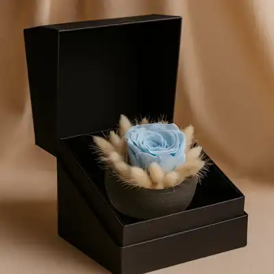Elegant Soft Blue Rose in Luxury Black Box