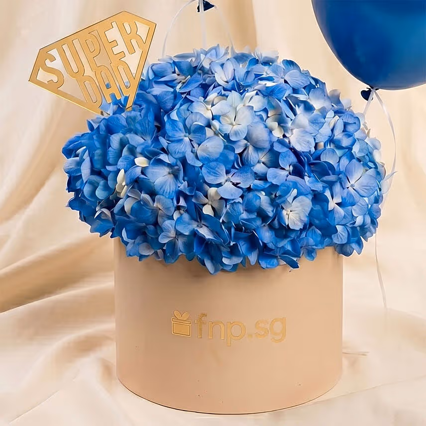 Super Dad Blue Hydrangea & Balloon Hatbox