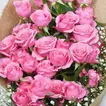 Elegant Blushing Beauty Pink Rose Bouquet