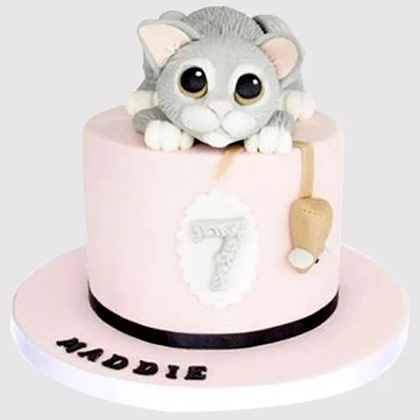 Cute Cake Black Forest Cake
