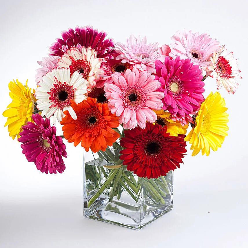 Elegant Gerberas In Glass Vase with Birthday Balloon
