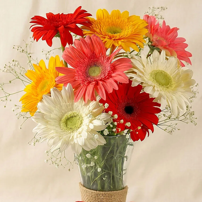 Mixed Brilliance Gerbera Vase