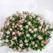 Flores de Amor: Elegant Dual Color Baby Rose Bouquet