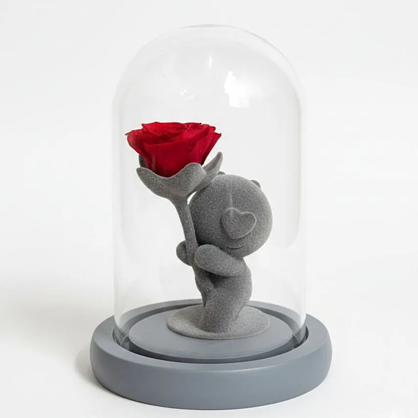 Grey Teddy with Dome