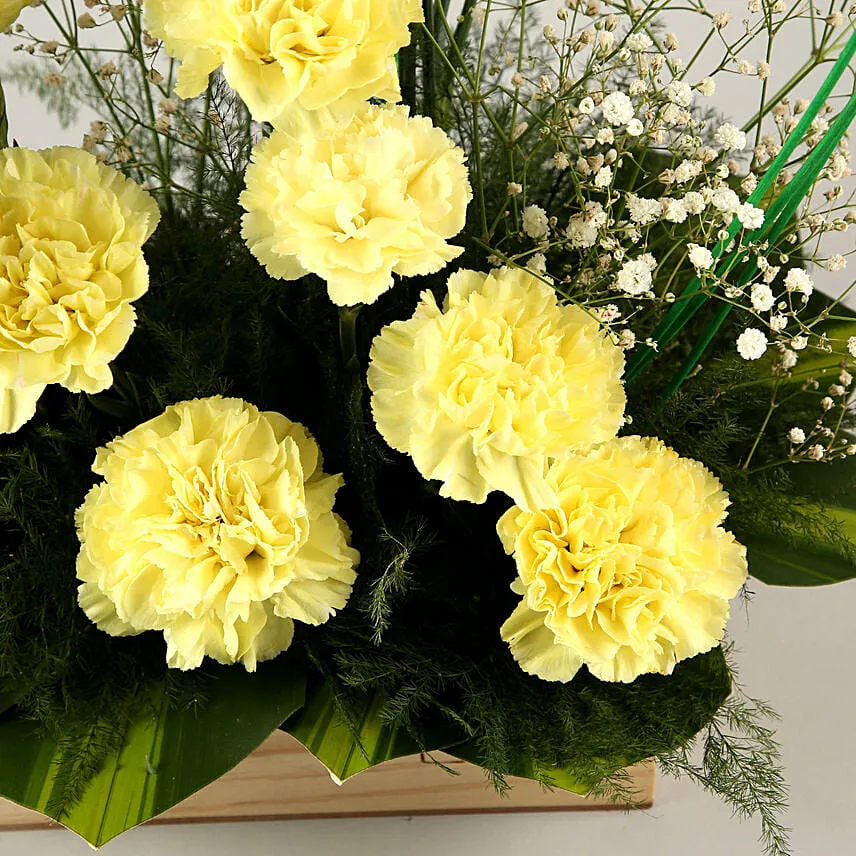 Brighter Than Sunshine Carnations Arrangement