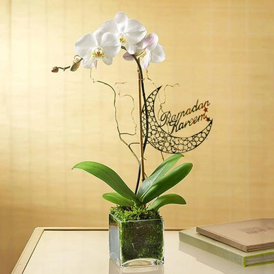 Elegant White Orchid in Glass Vase with Ramadan Kareem Topper