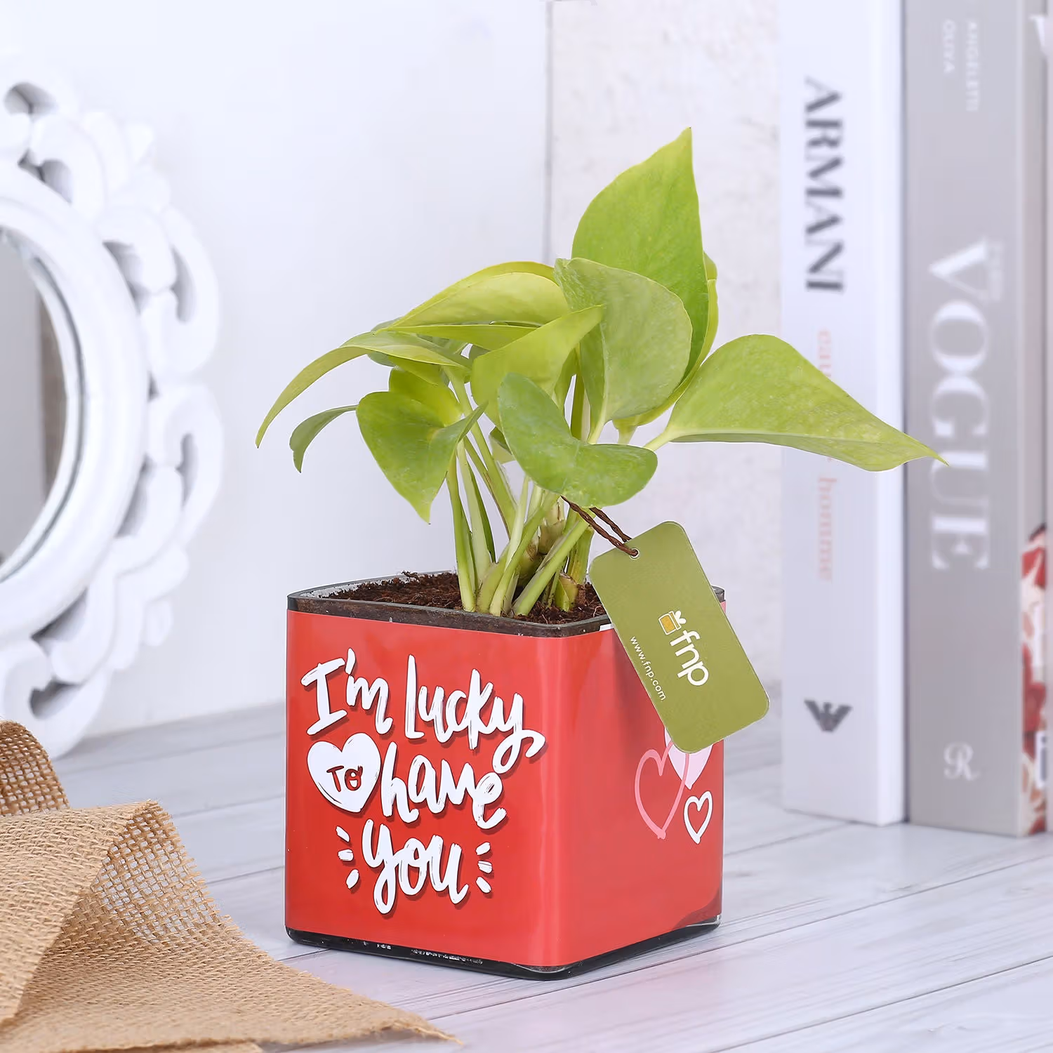 Money Plant In Lucky To Have You Glass Pot
