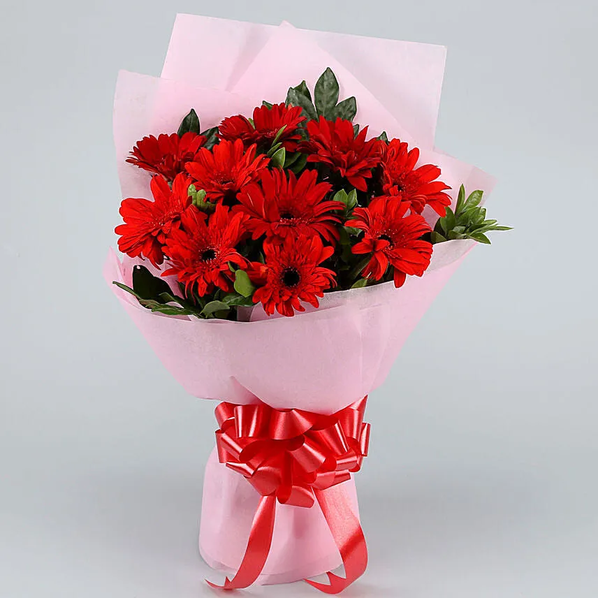 10 Ravishing Red Gerberas Bouquet