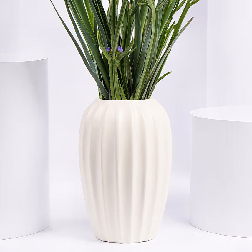 IRIS Flower Arrangement in Premium Vase