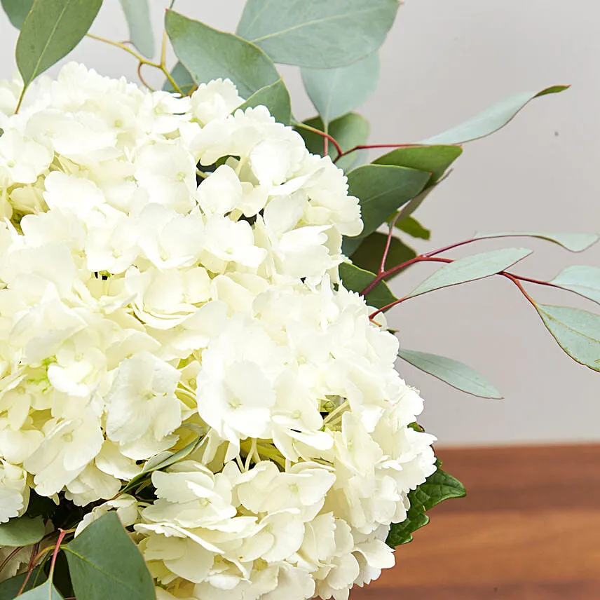 Hydrangeas In Clear Wine Glass Vase
