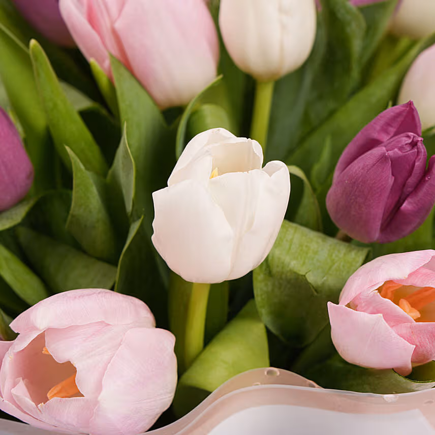 Mothers Love Pretty Tulips Box