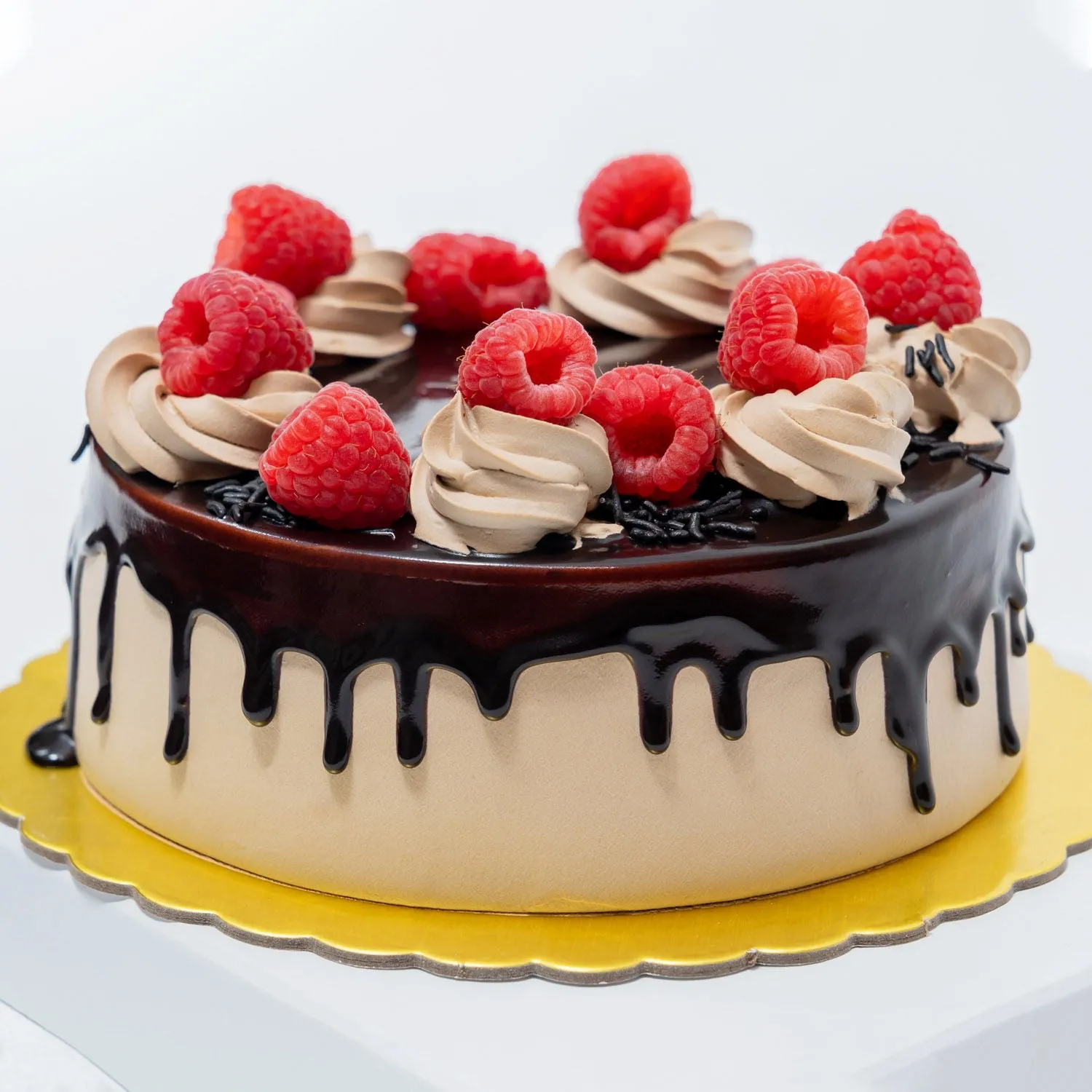 Beautiful Hand Bouquet with Choco Rasberry Cake