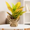 Vibrant Codiaeum Petra Plant in Rustic Jute Wrapped Pot