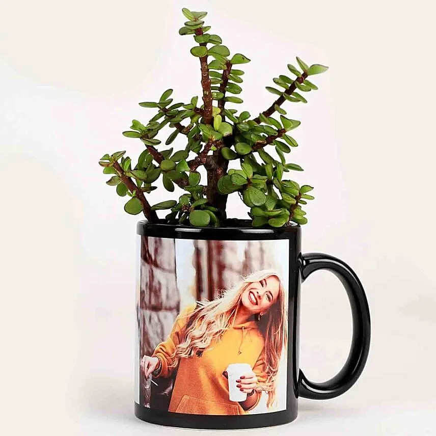 Jade Plant In Personalised Black Mug Combo