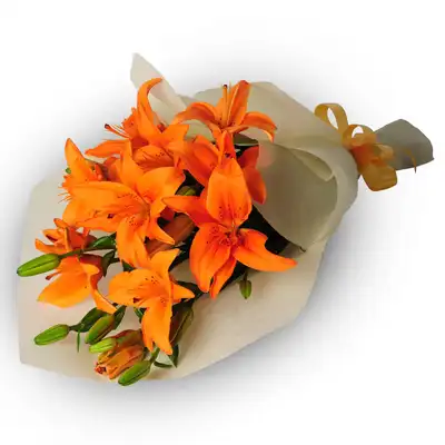 Bright Side Of Life Flowers