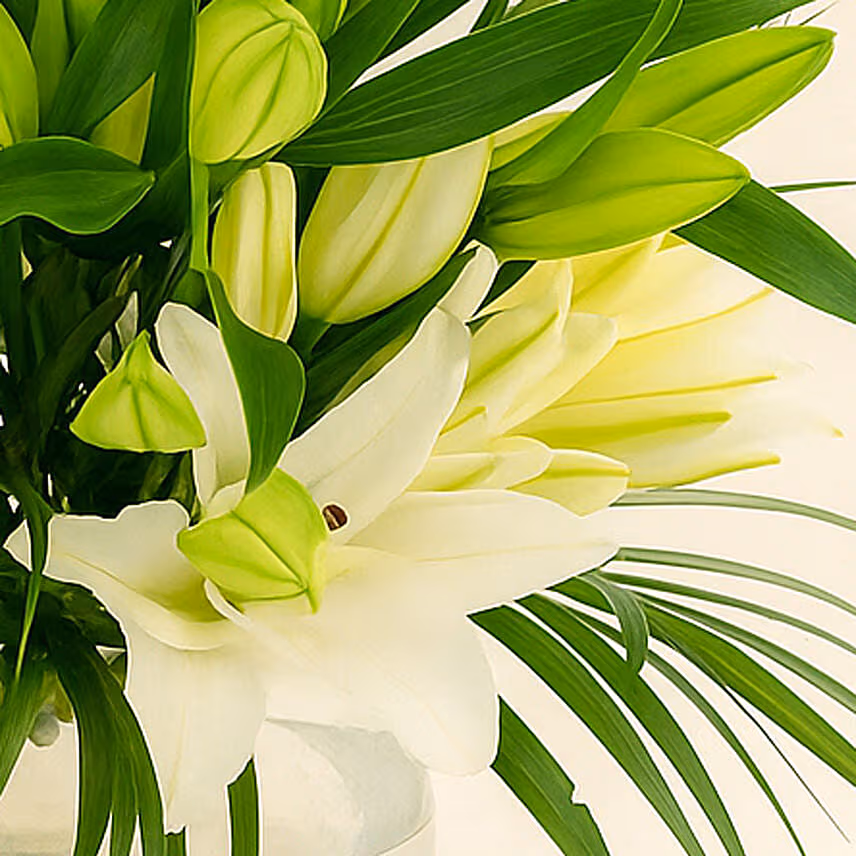 Lilies Happiness Arrangements