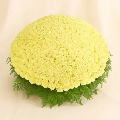 500 White Roses Arrangement