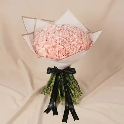 Elegant Pink Carnations - Bouquet
