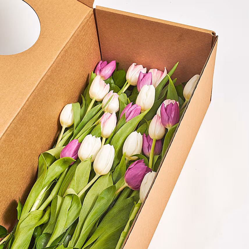 Lovely Mixed Tulips Box