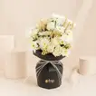 White Mixed Flowers Bouquet in New Elegant Sleeve
