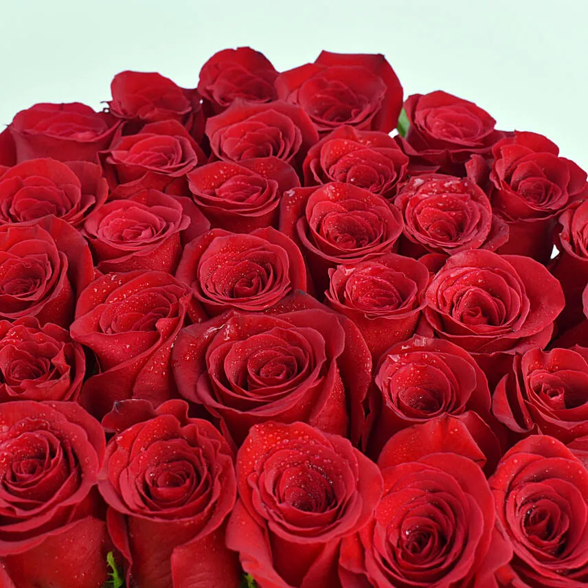 Roses For You My Favourite