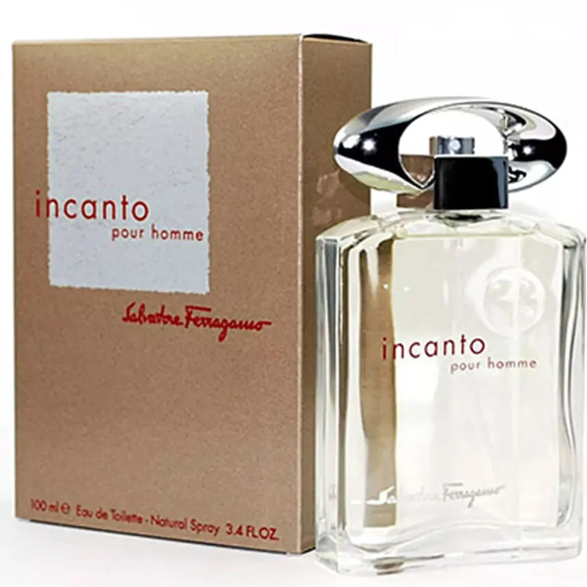 Salvatore Ferragamo Incanto Pour Homme For Men Edt