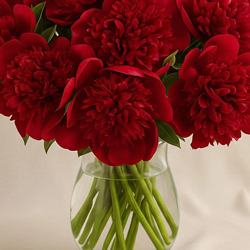 Passionate Red Peonies Vase