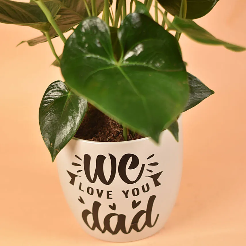 We Love You Dad Potted Anthurium Plant