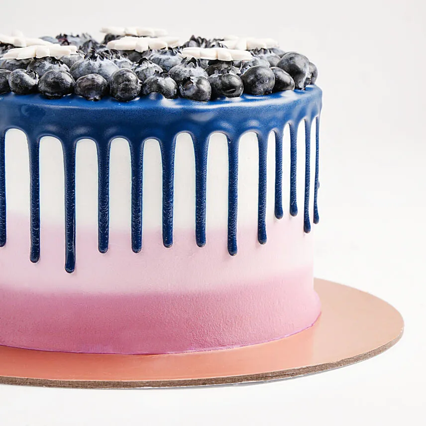 Yummy Blueberry Drip Cake