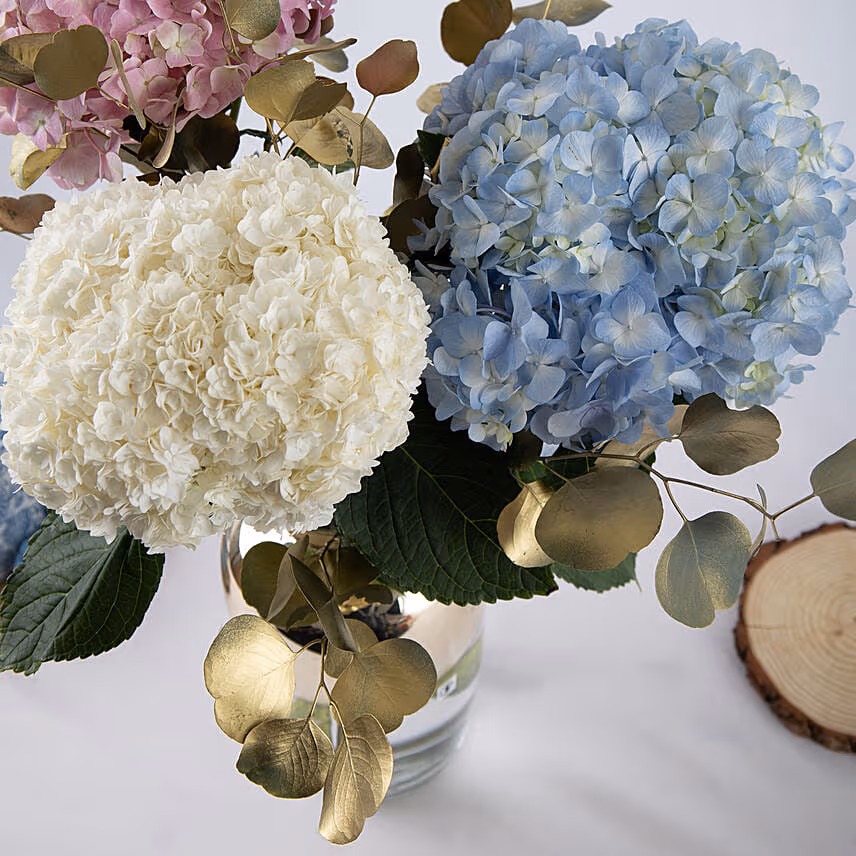 Sublime Hydrangeas