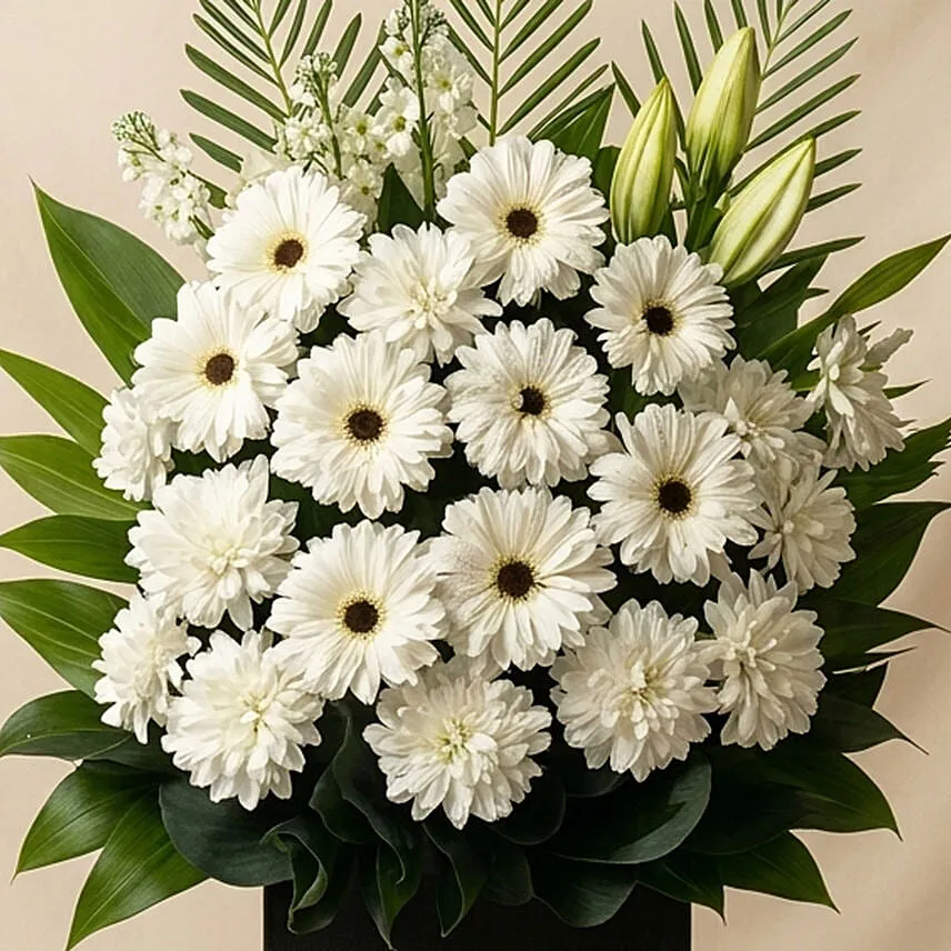 Daisy Condolence Stand