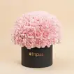50 Pink Carnations Luxe Arrangement