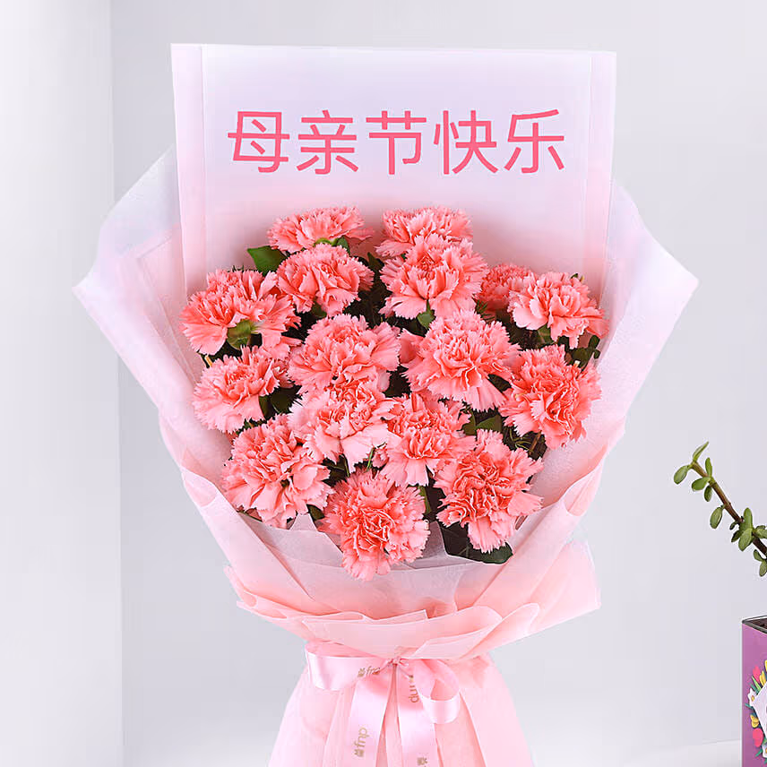 Mothers Day Carnation Flowers with Jade Plant