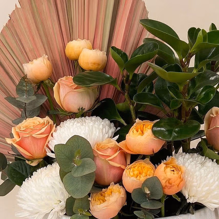 Champagne Rose & Peperomia Garden Vase