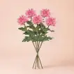 Elegant Pink Chrysanthemum Stems - Set of 5