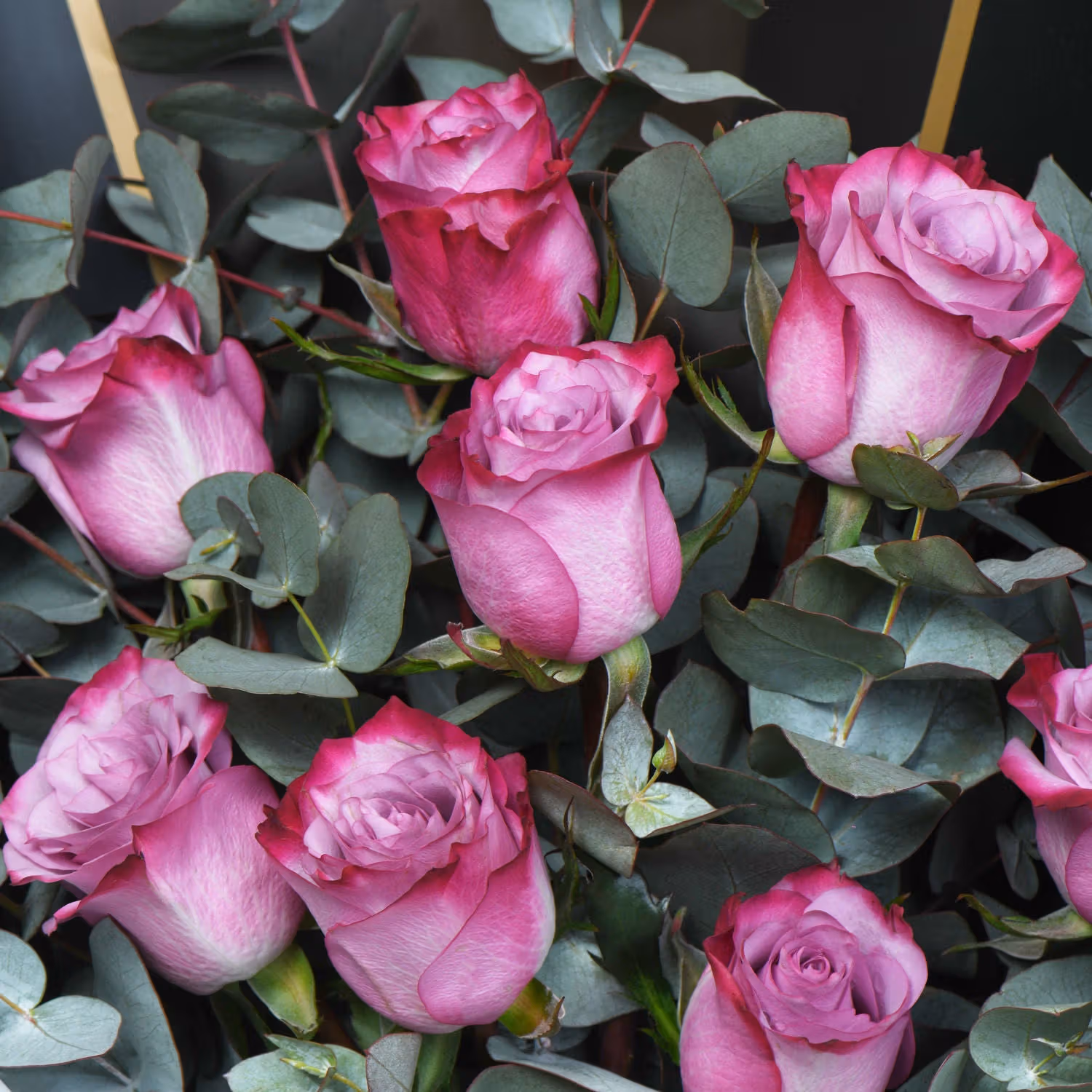 Enchanted Purple Roses Bouquet