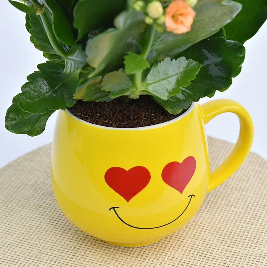 Kalanchoe In a Emoji Mug