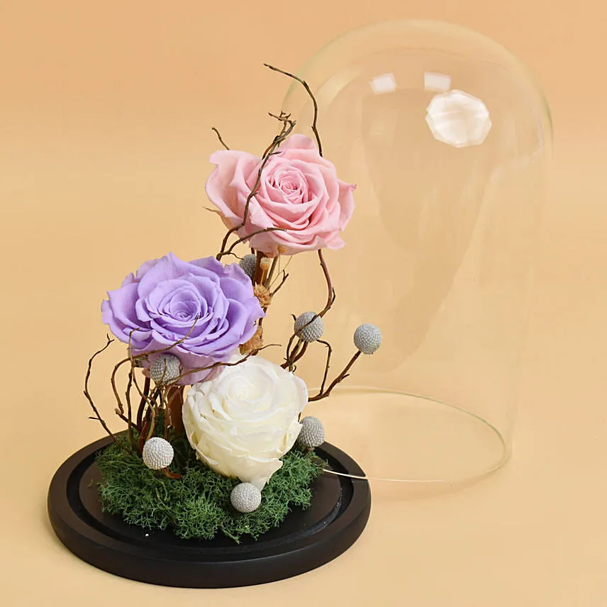 Forever Roses in a Dome