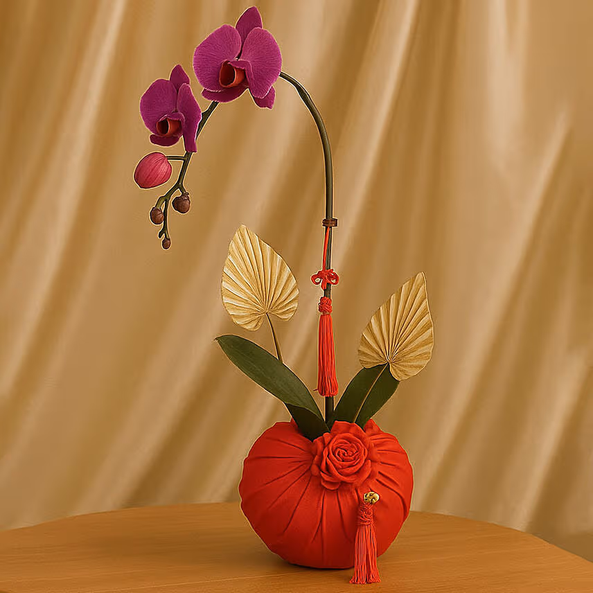 Phalaneopsis Plant For CNY