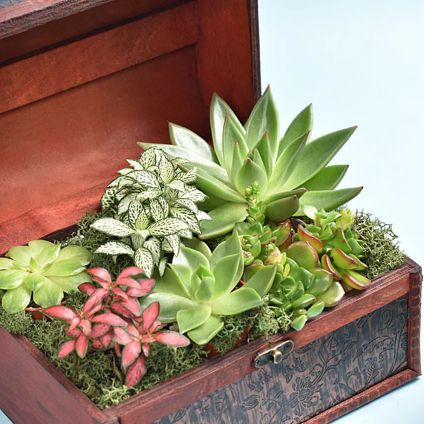 Garden Treasure Box With Cake
