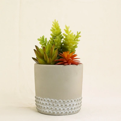 Artificial Colorful Succulent Garden