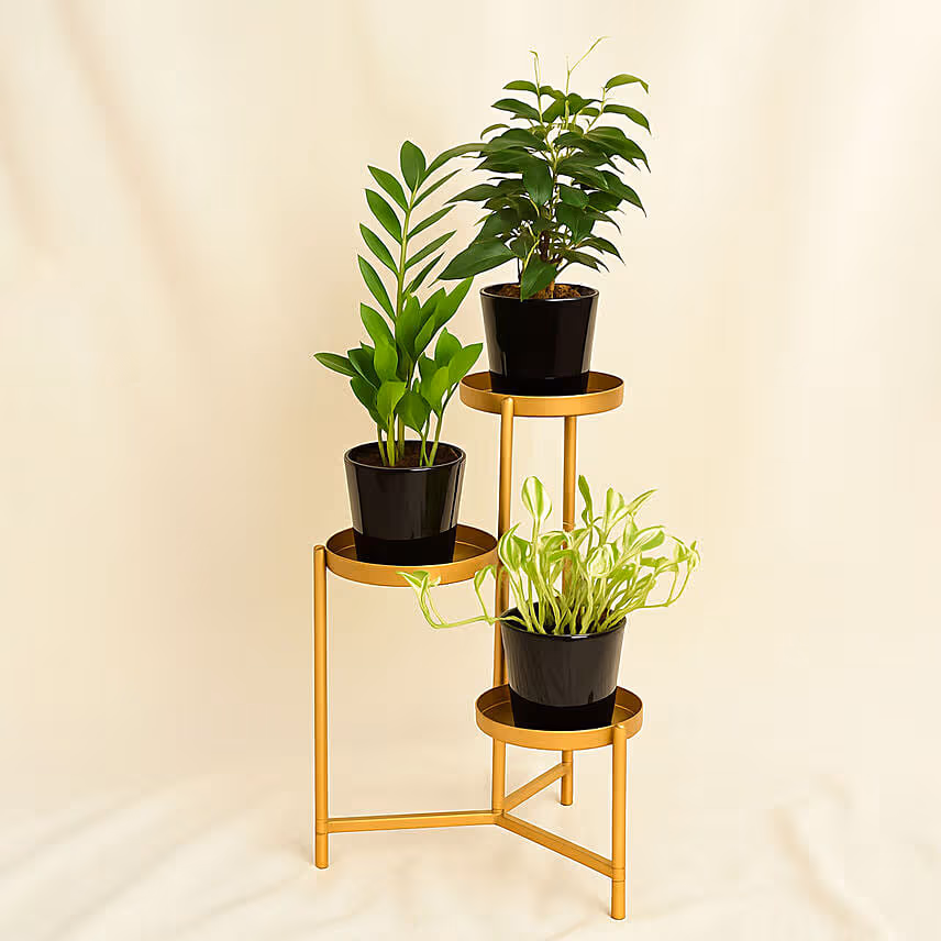 Welcome Good Luck To Home Plant Stand