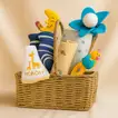 Baby Boy's Joy Gift Hamper