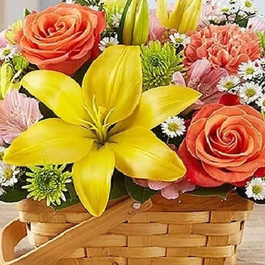 Fields Of Europe Basket