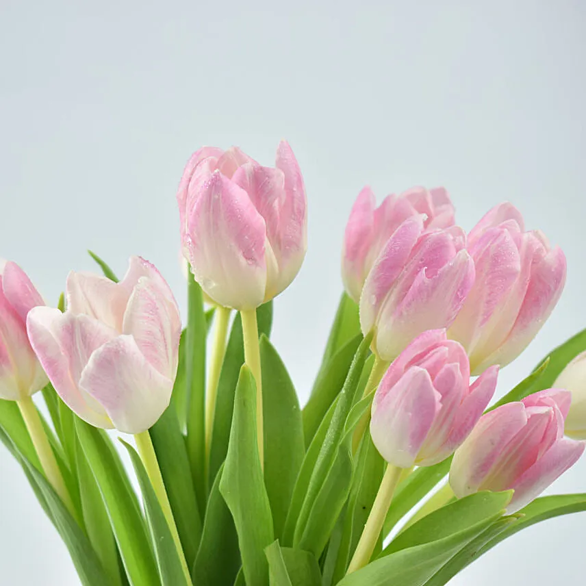 Tulips Breeze Arrangement