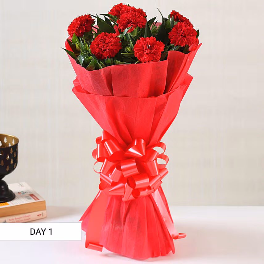 Beautiful Carnations Everyday