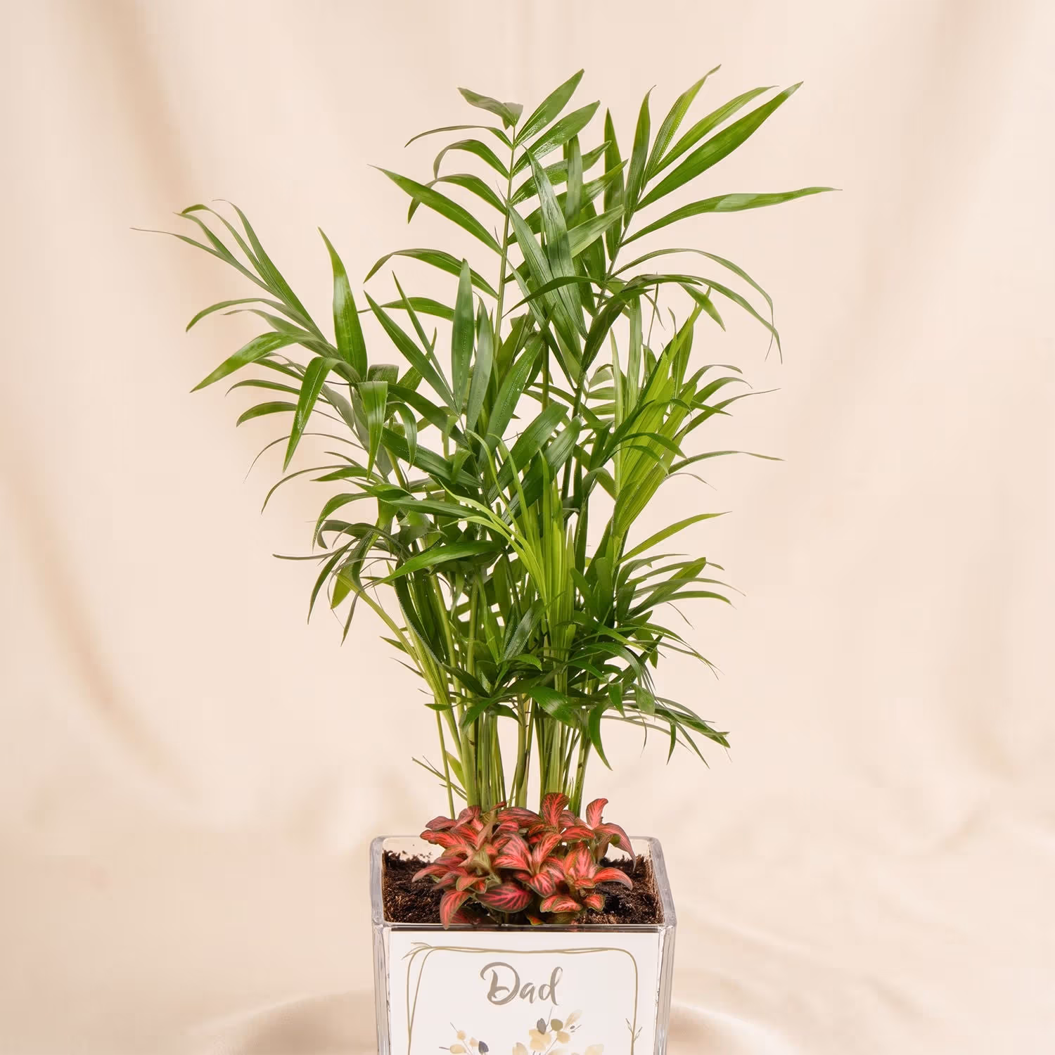 Chamidoria Gift for Dad
