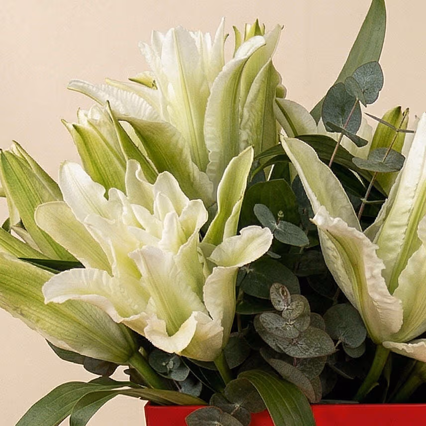 Radiant White Lily & Red Love Box Arrangement